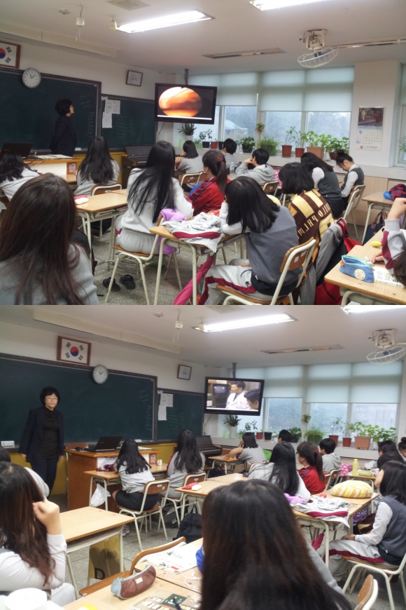 ��õ����(906)