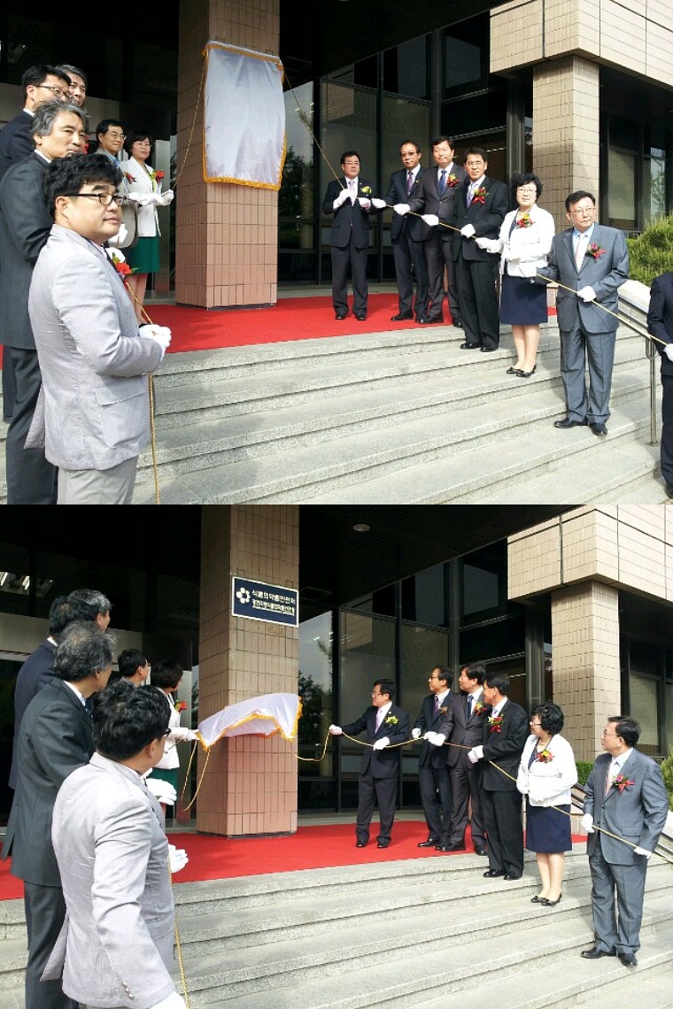 ��õ����(997)